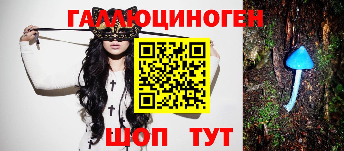 купить закладку  Вход с VPN  Тобольск  Галлюциногенные грибы Cubensis 