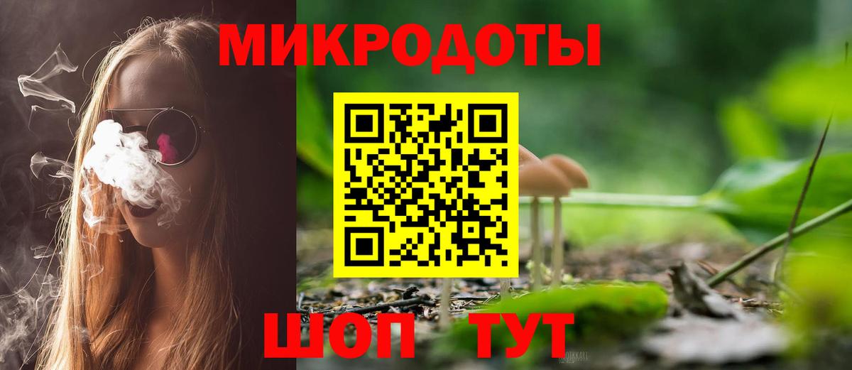Псилоцибиновые грибы Psilocybine cubensis Тобольск